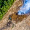 Global soy exporters adopt new measures to cut deforestation in Brazil’s Cerrado region