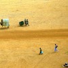 Climate Change: A Walk Through the Sahel 