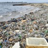 PREDICTING THE FUTURE OF PLASTIC POLLUTION AND WHY CLEANUP IS PART OF THE SOLUTION