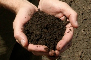 Environment Bill soils amendment rejected