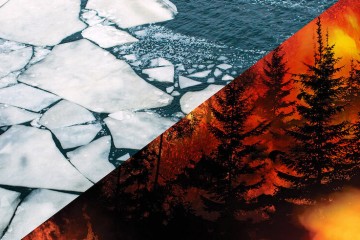 Melting Arctic ice and US wildfires are linked