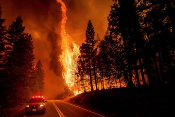 California’s massive Dixie Fire ignited after tree fell on PG&E electrical lines, officials say