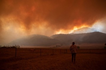 Fires Doubled Australia’s Carbon Emissions—Ecosystems May Never Soak It Back Up