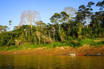 Deforestation for gold mining has increased by 90% in the Amazon region