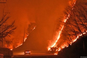 South Korea: Wildfire triggers mass evacuation