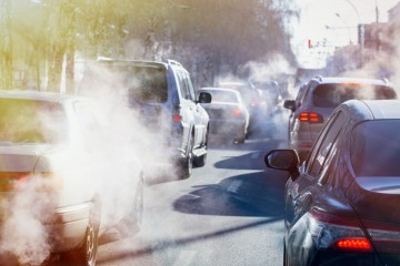 Traffic pollution impairs brain function
