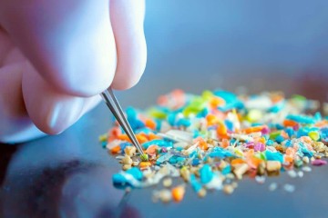 Microplastics found in every human placenta tested
