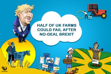 The impacts of Brexit on UK’s food and farming