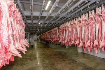 Organic meat production just as bad for climate, study finds