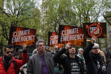 One Year After Declaring Climate Emergency, Scientists Push for 'Massive-Scale Mobilization'