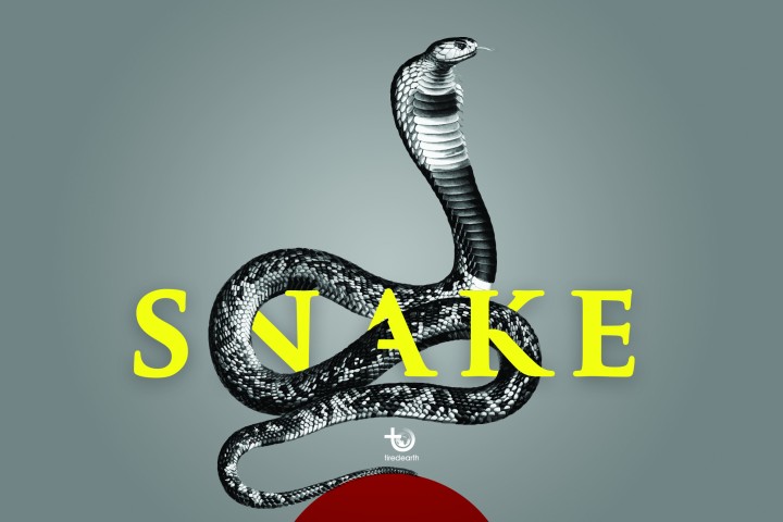 Are Snakes as Evil as We Think? 