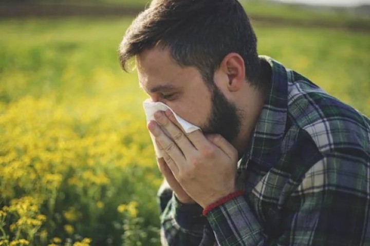 Climate crisis ‘to triple pollen levels in some areas’ as hay fever season grows longer and more intense