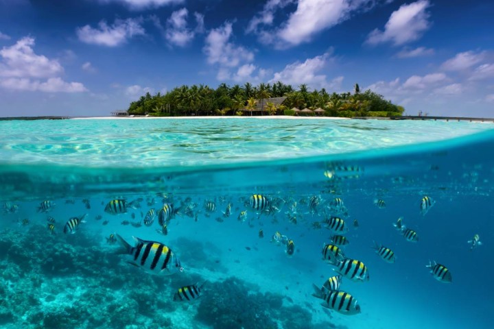 World Ocean Day 2022: Amazing facts about mighty water bodies you should know