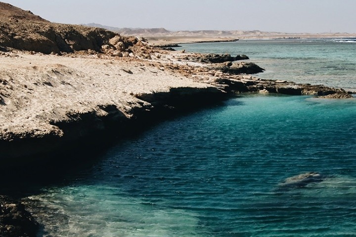 Biodiversity and Oceans: Road to Sharm El-Sheikh