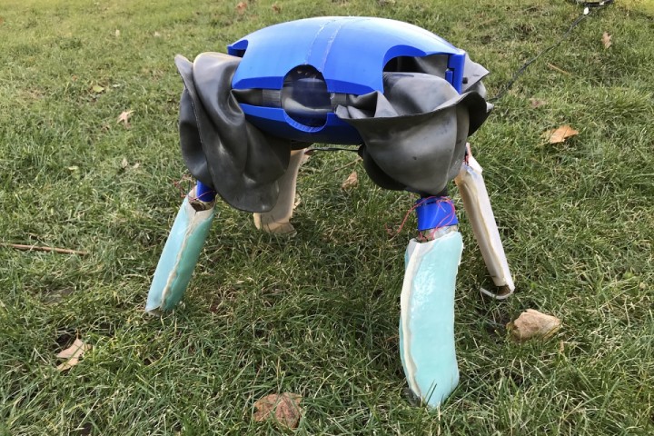 Turtle robot can travel on land and in water