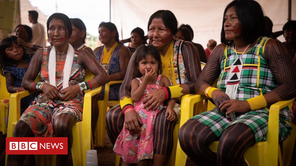 Coronavirus 'could wipe out Brazil's indigenous people