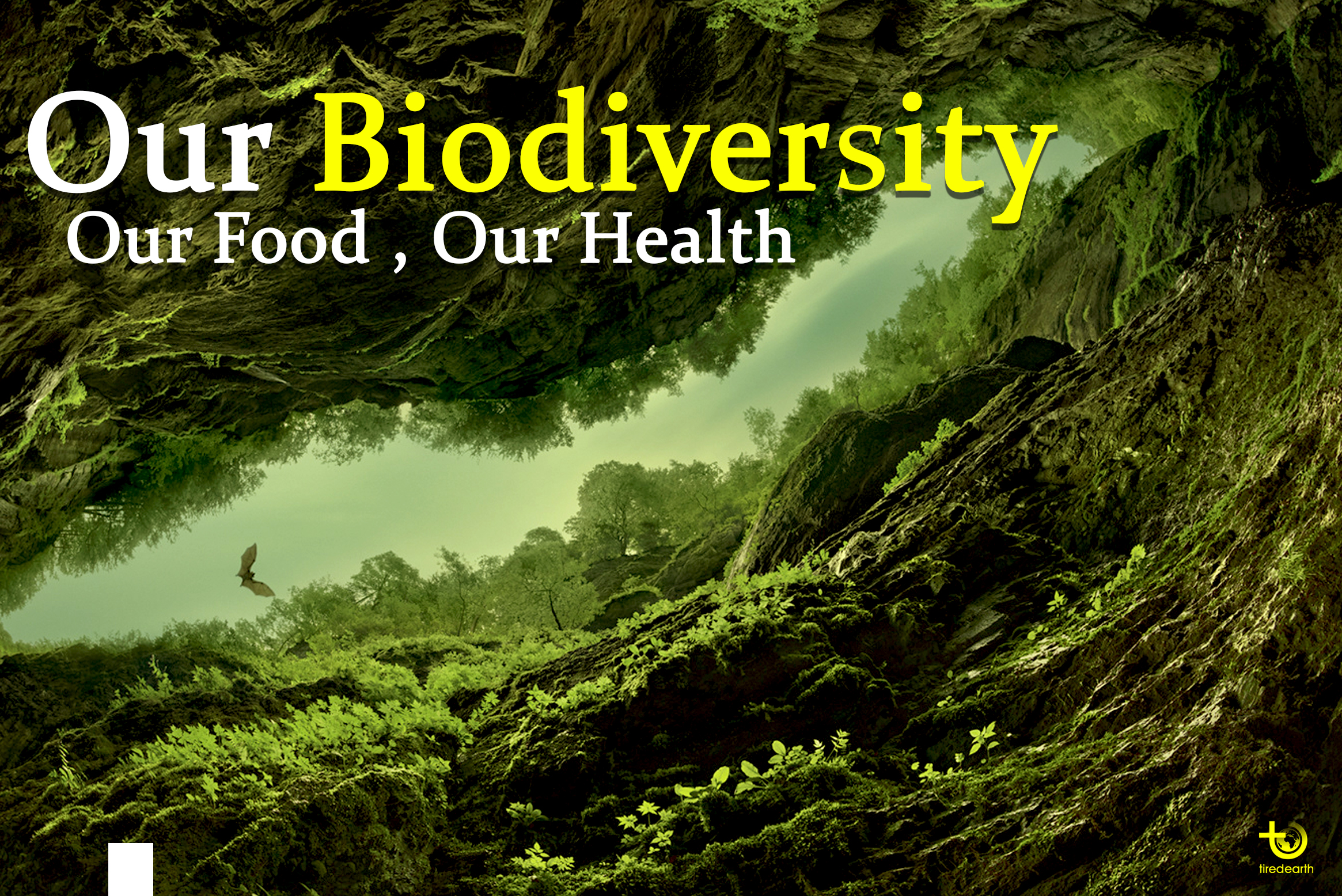 Biological Diversity Is Vital For Our Survival