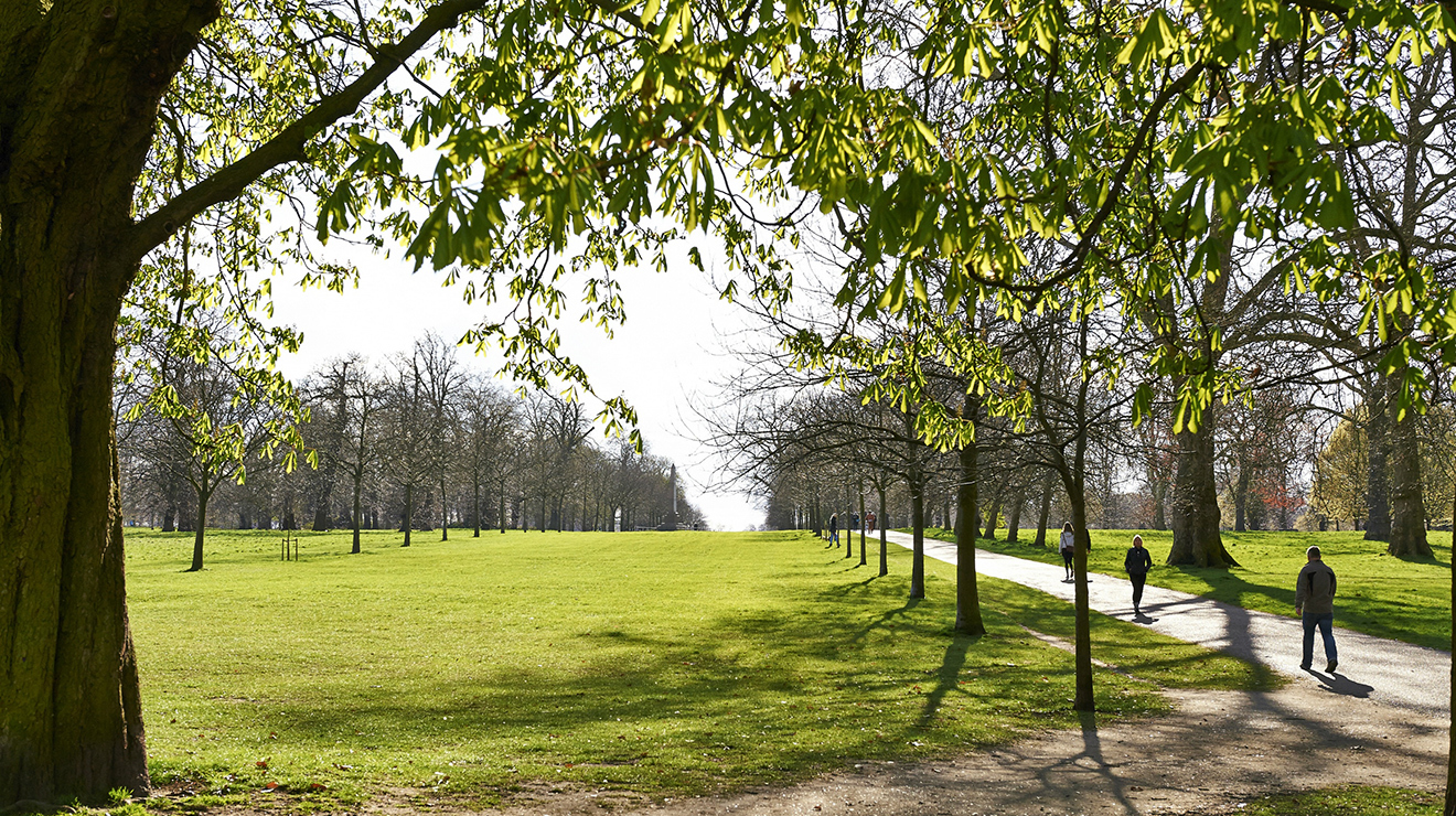 london-parks-public-spaces.tiredearth.jpg